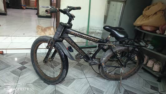 cycle for sale