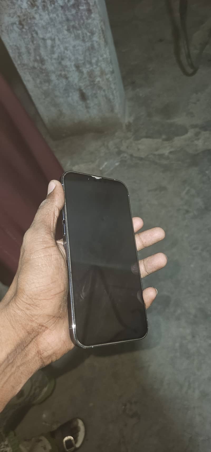 Apple iPhone 13 Pro Max 1