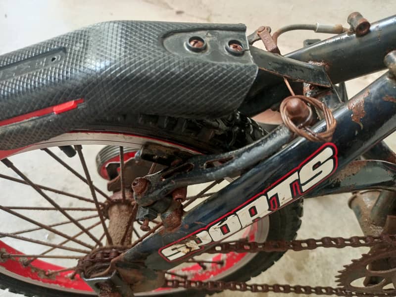 kids Cycle 2