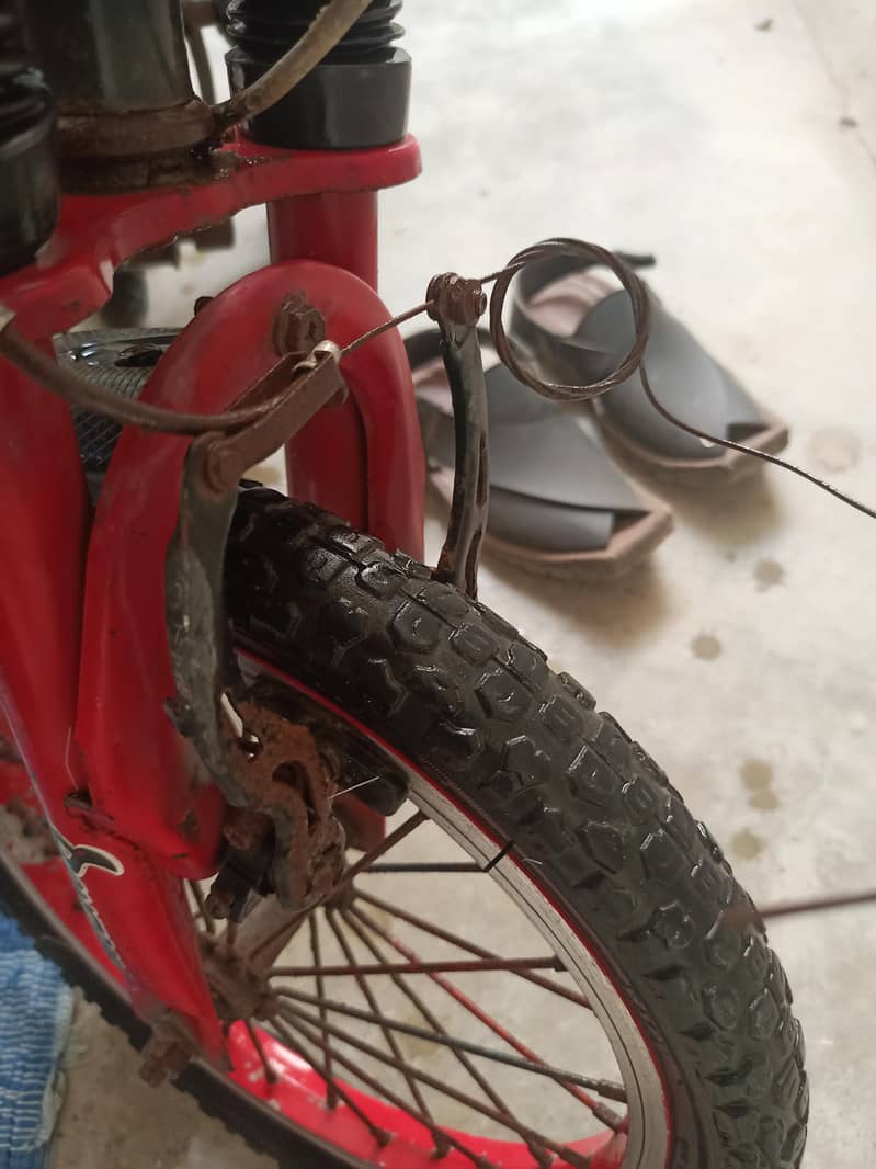 kids Cycle 3
