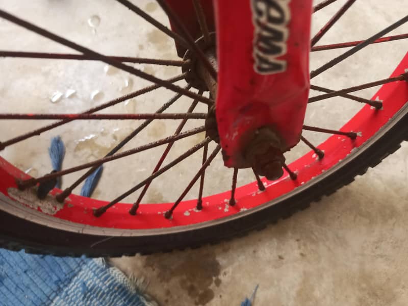 kids Cycle 4