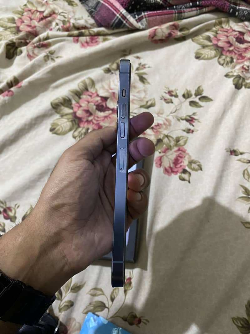Apple iPhone 13 Pro Max 3
