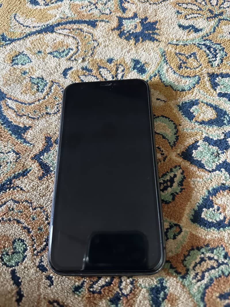 Apple iPhone 11 0