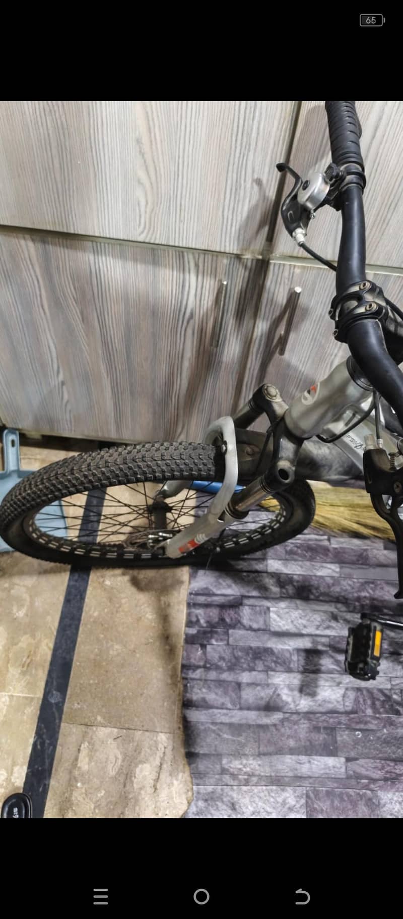 bicycle 1