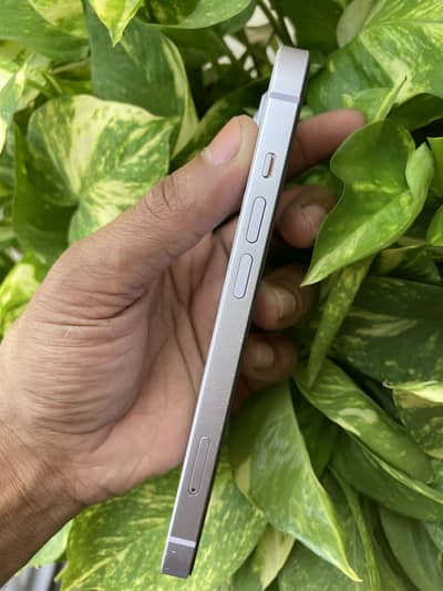Apple iPhone 14