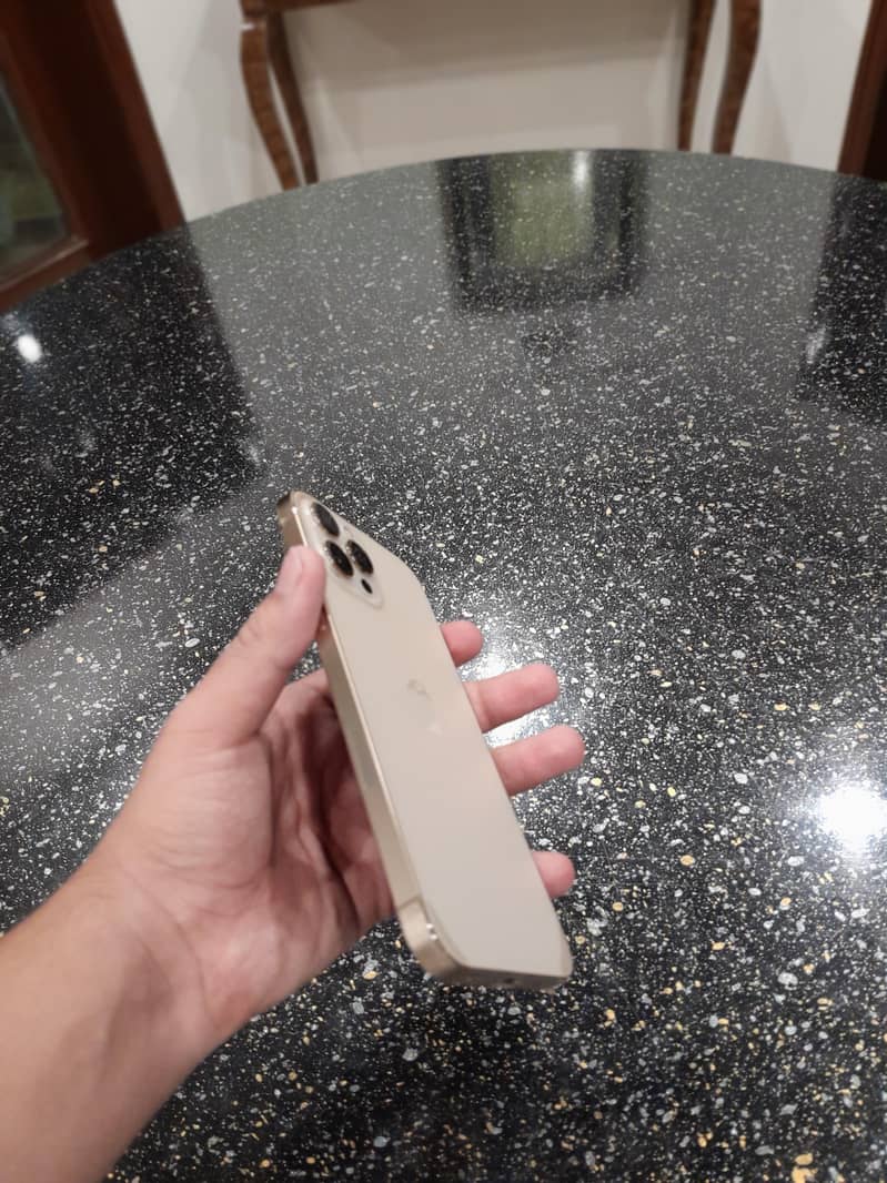 Apple iPhone 12 Pro Max 2