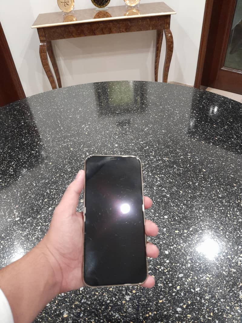 Apple iPhone 12 Pro Max 3