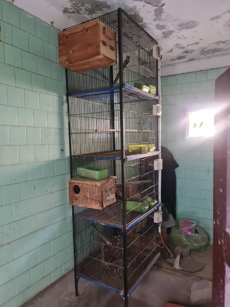 4 & 8 portion cages 1