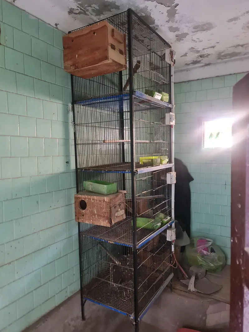 4 & 8 portion cages — photo 2
