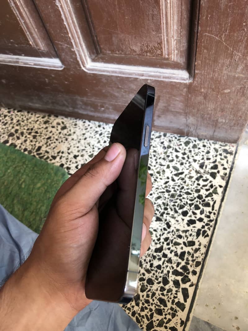 Apple iPhone 12 Pro Max 1