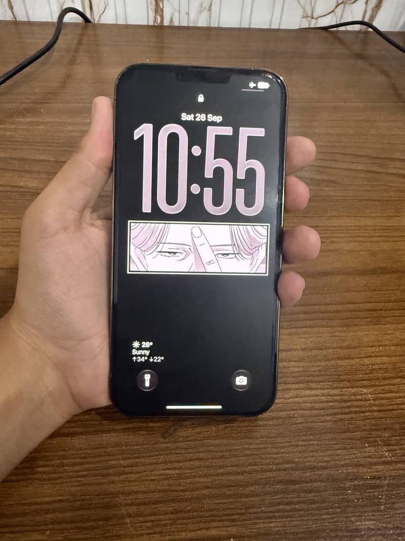 Apple iPhone 13 Pro Max 0