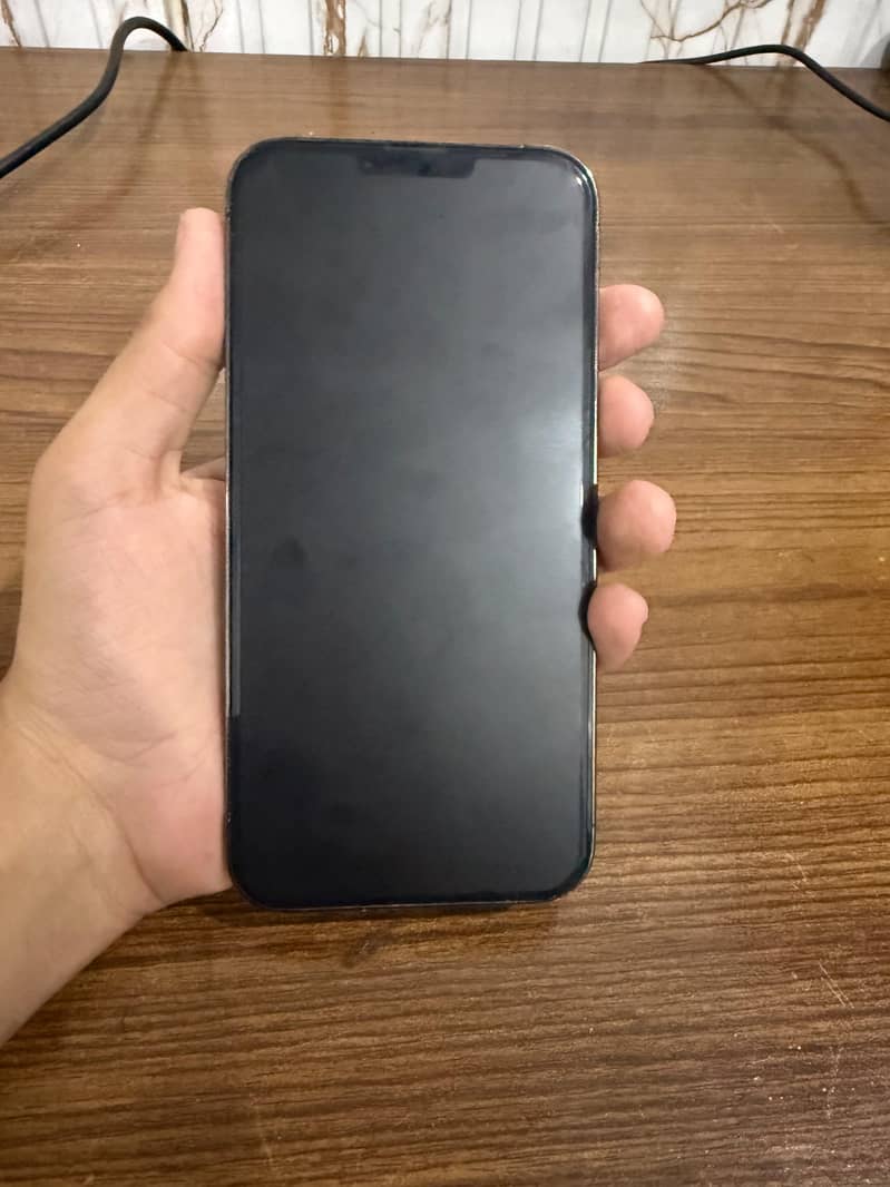 Apple iPhone 13 Pro Max 3