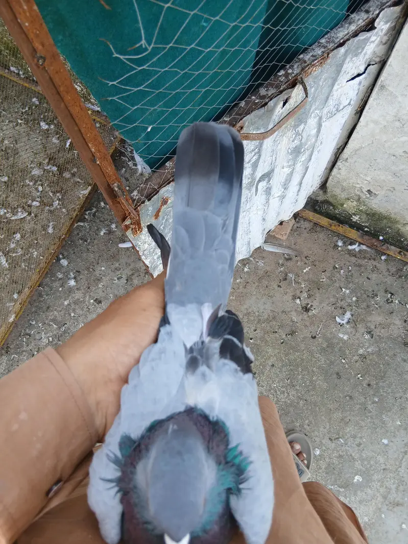 kamager — photo 4
