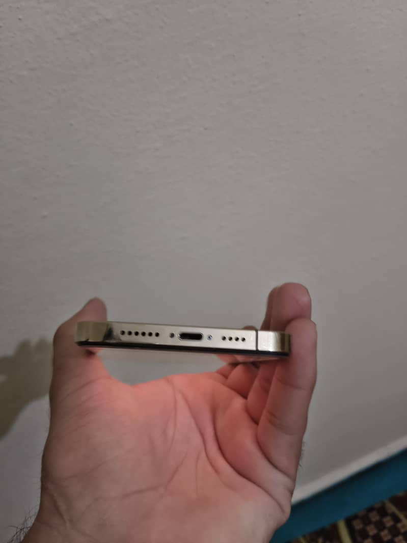 Apple iPhone 12 Pro Max 0