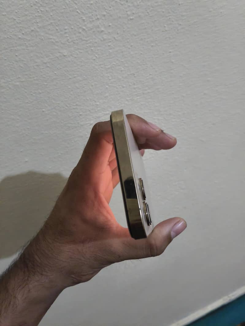 Apple iPhone 12 Pro Max 1
