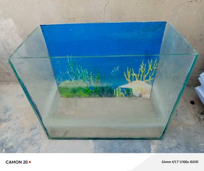 Fish aquarium