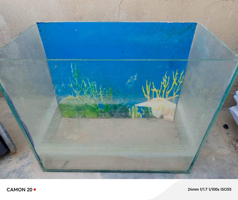 Fish aquarium 1