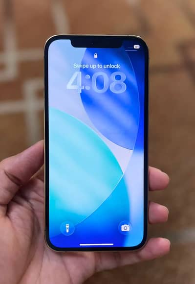 Apple iPhone 12 Pro