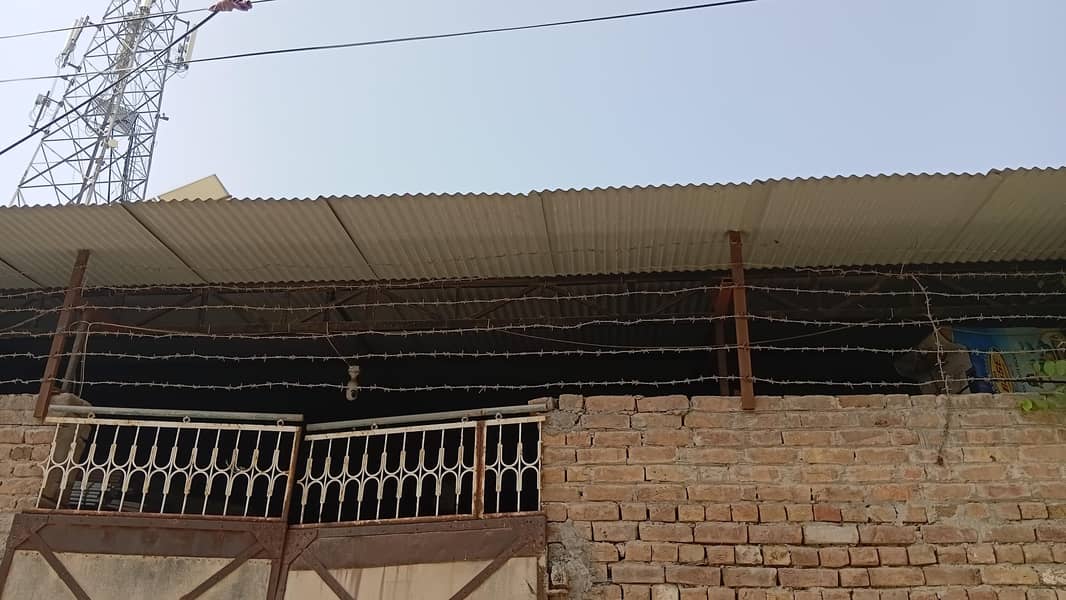 شٹر بالکل ٹھیک ہے کافی زیادہ مقدار میں ہے Gojra 4