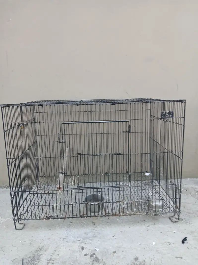 CAGES FOR SALE — photo 2