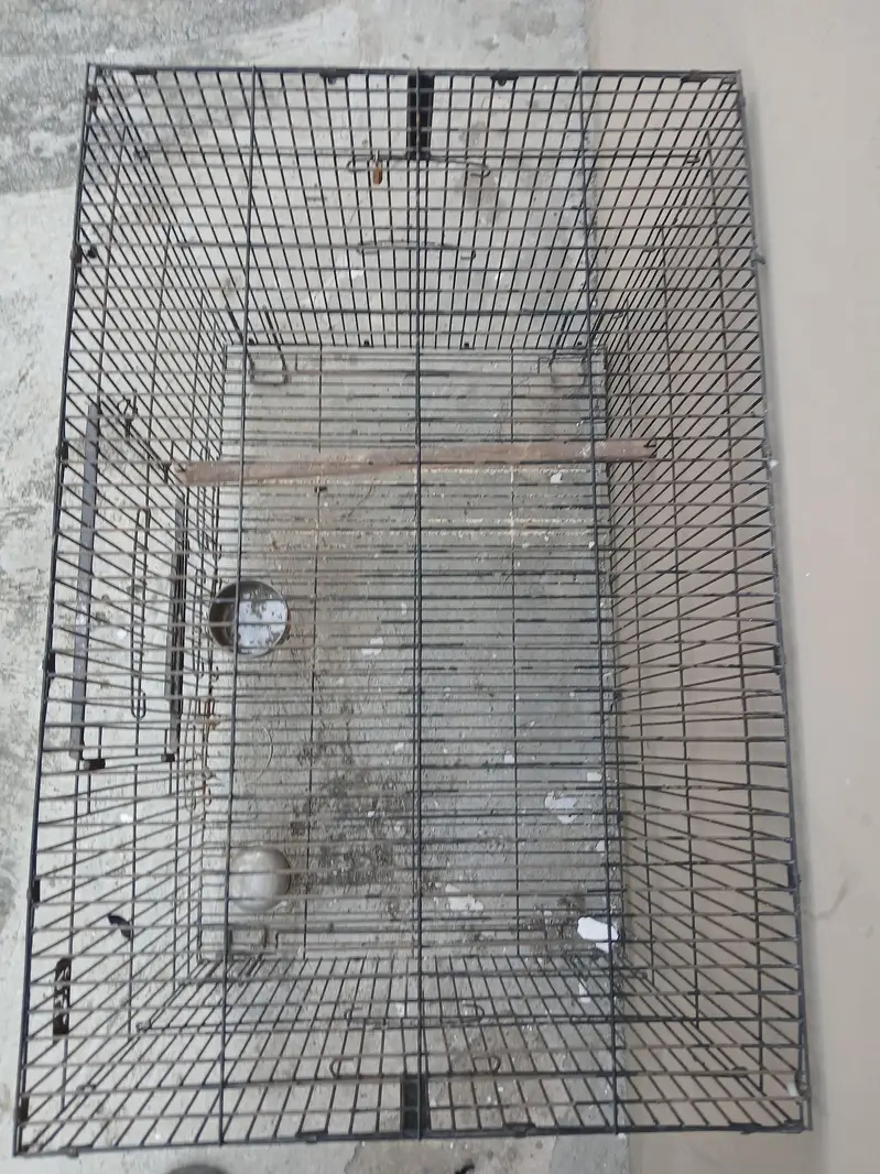 CAGES FOR SALE — photo 3