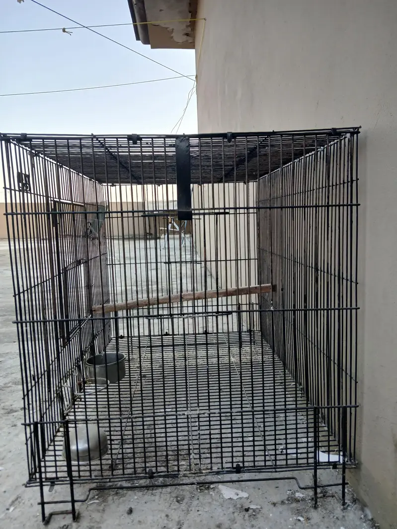 CAGES FOR SALE — photo 4