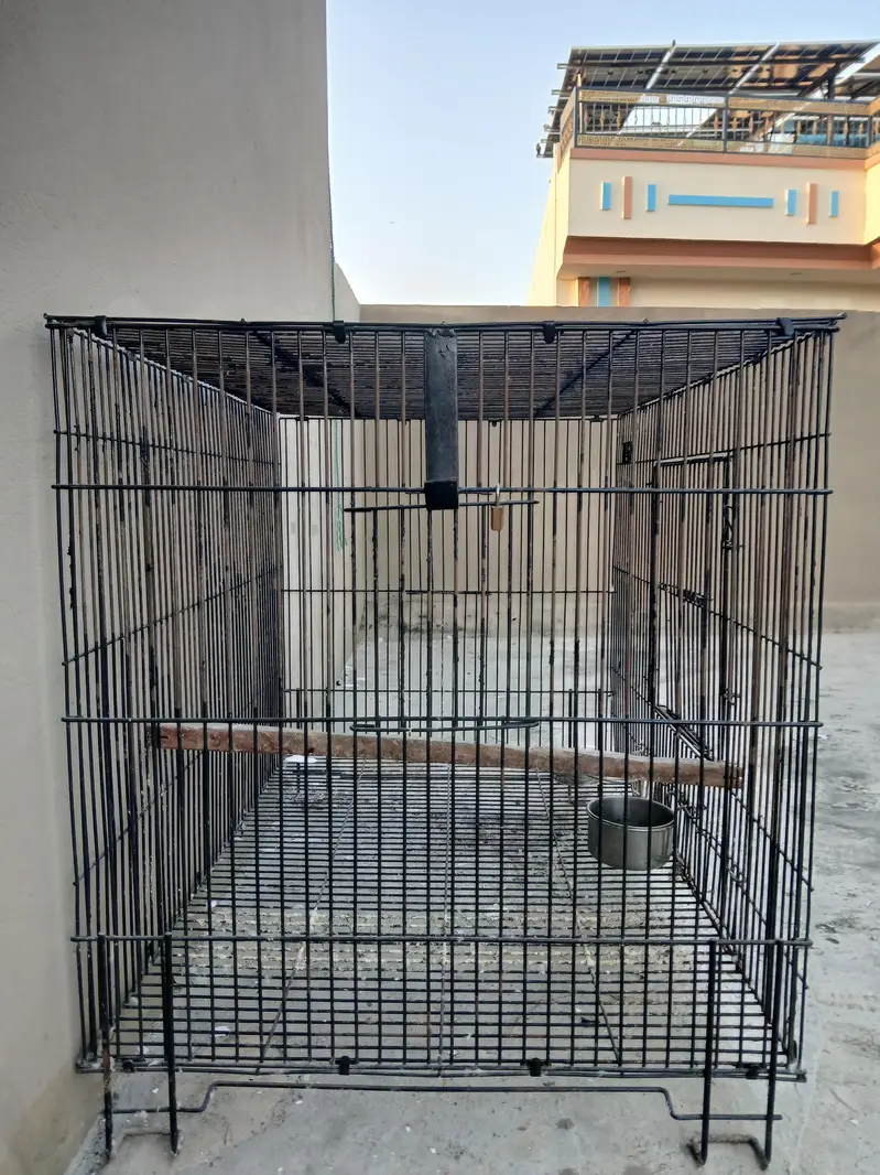 CAGES FOR SALE — photo 5