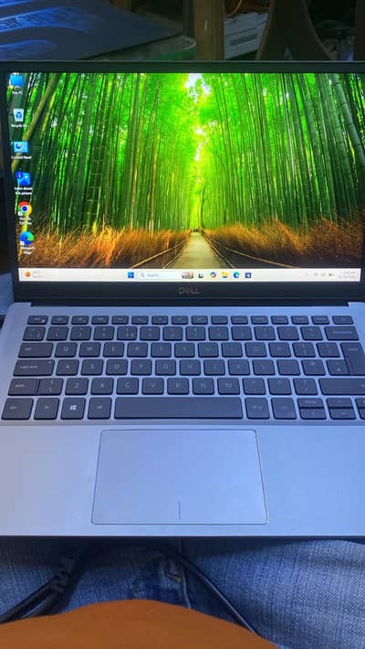 Dell Laptop i5 8Generation, 8GB Ram 256NVME SSD,Latitutde 3301