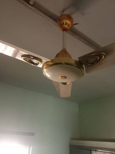 Ceiling Fan For Sale