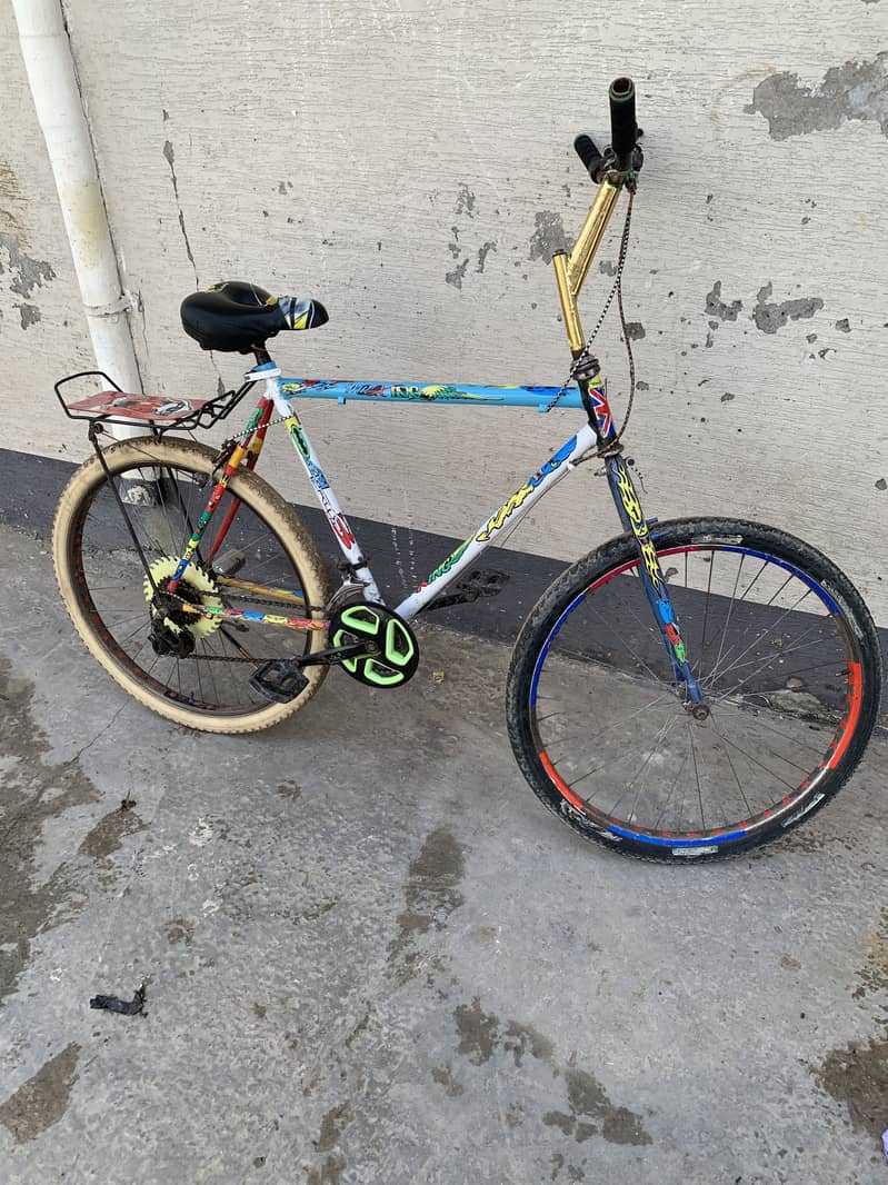 New cycle 1