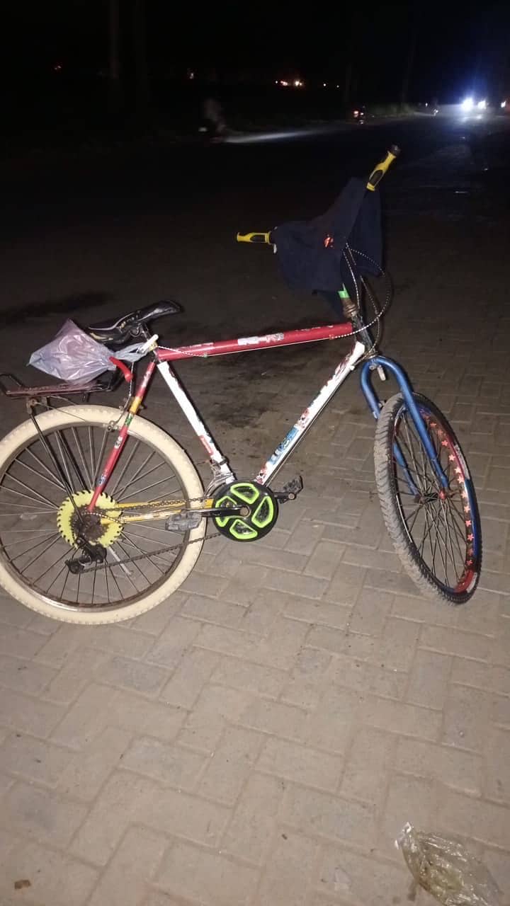 New cycle 2