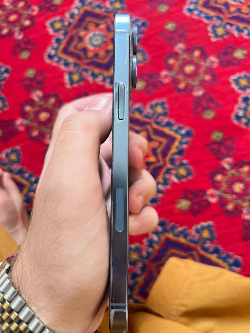 Apple iPhone 13 Pro Max 1