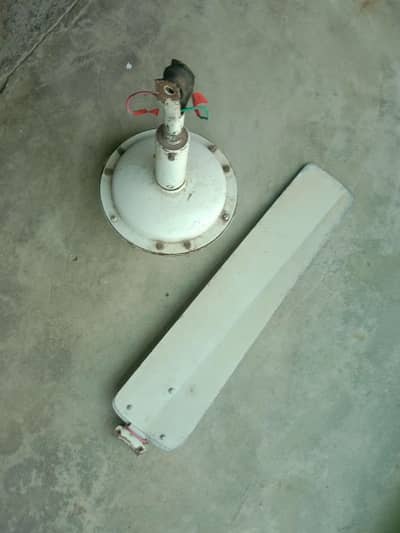 Ceiling Fan for Sale
