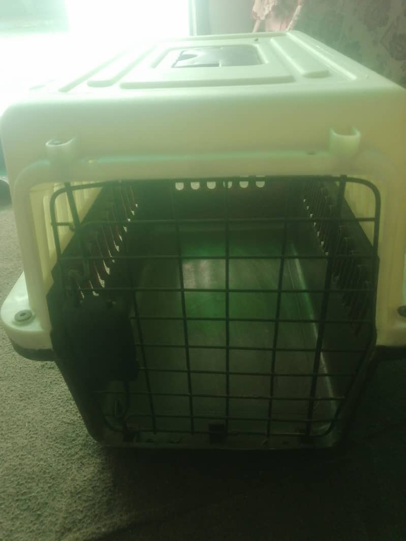 cats box new 1
