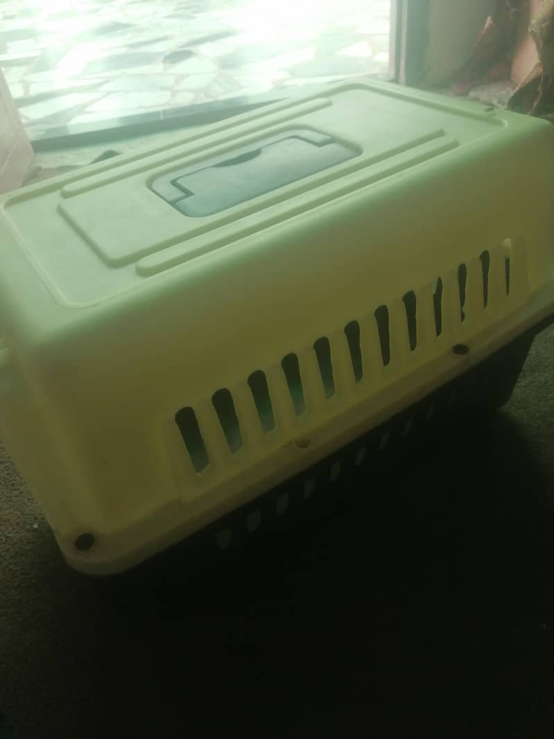 cats box new 2