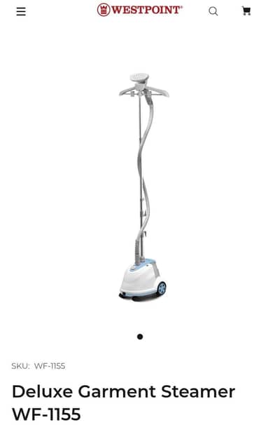 steamer Iron