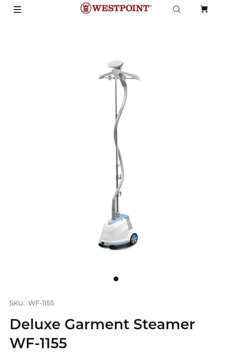 steamer Iron 0