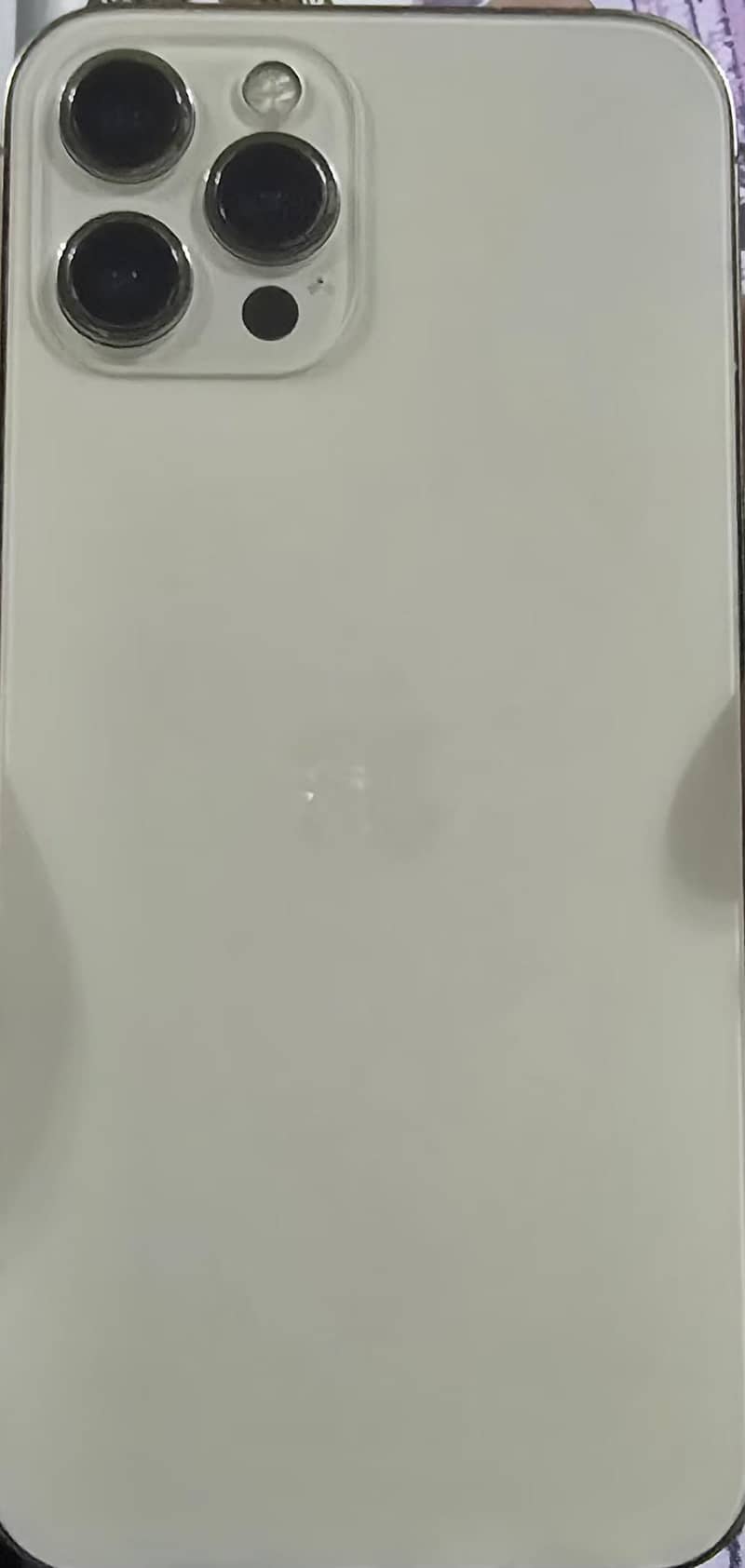 Apple iPhone 12 Pro Max 1