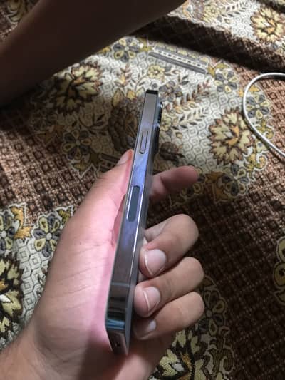 Apple iPhone 13 Pro  fectory unlocked