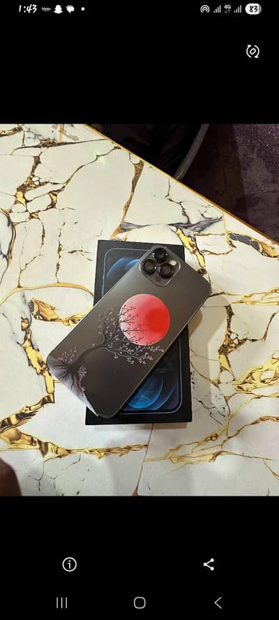 Apple iPhone 12 Pro Max