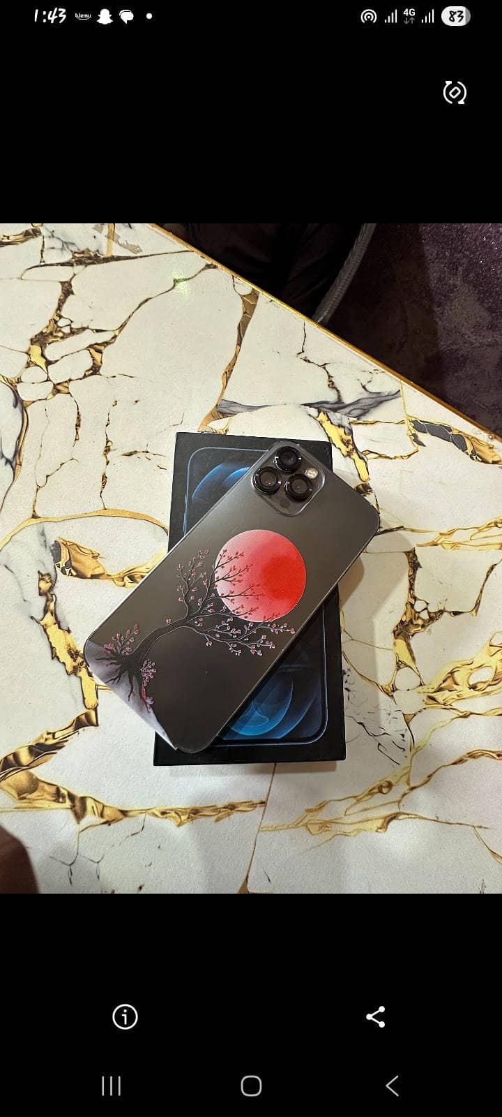 Apple iPhone 12 Pro Max 0
