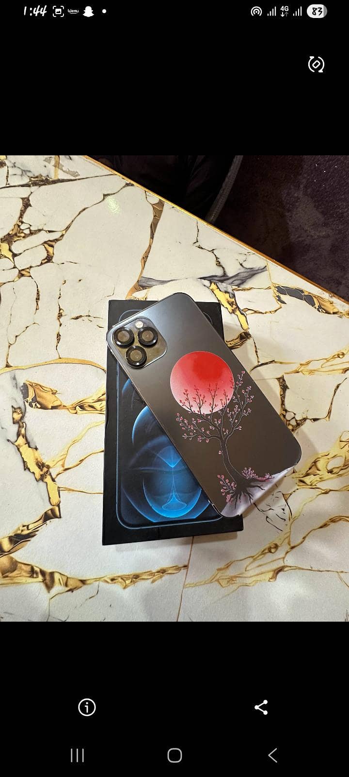 Apple iPhone 12 Pro Max 1