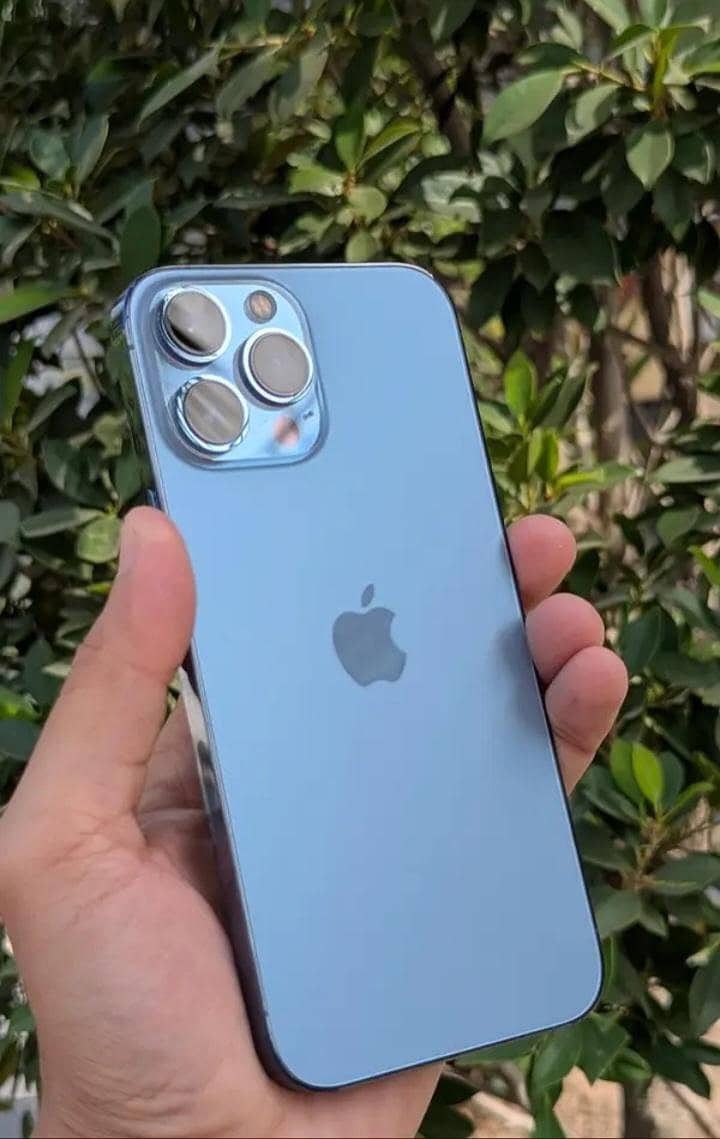 Apple iPhone 13 Pro Max 0