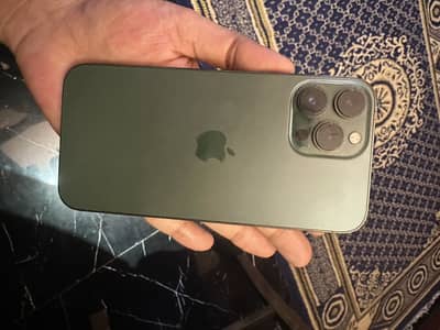 iPhone 13 Pro Max approved