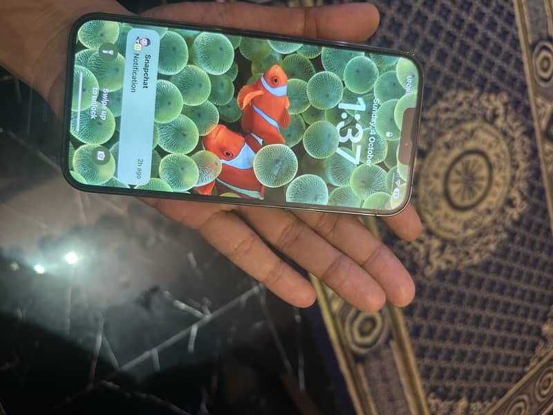 iPhone 13 Pro Max approved 1