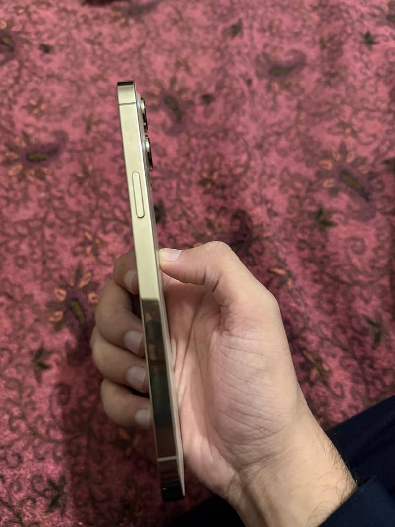 Apple iPhone 12 Pro Max 1
