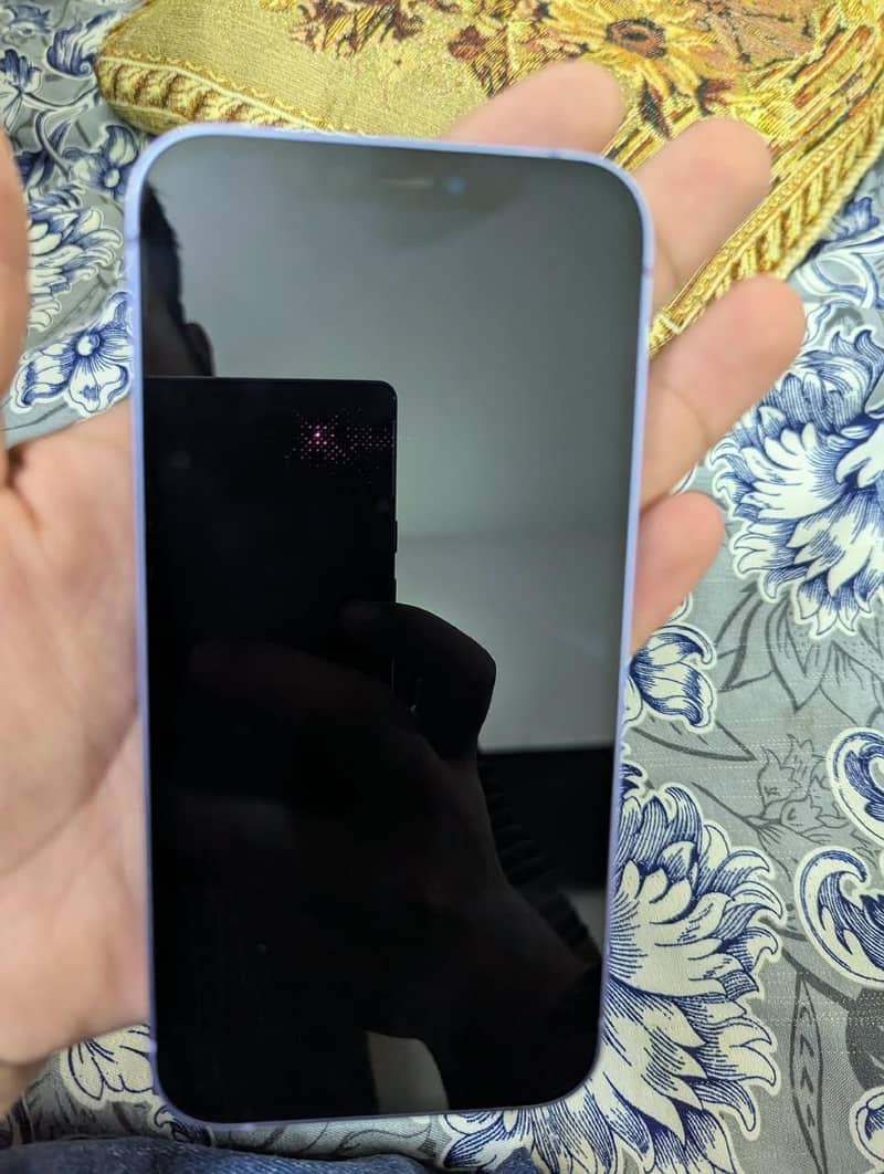 Apple iPhone 12 1