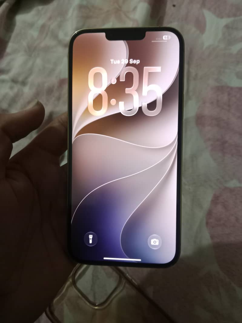 Apple iPhone 13 Pro Max 1