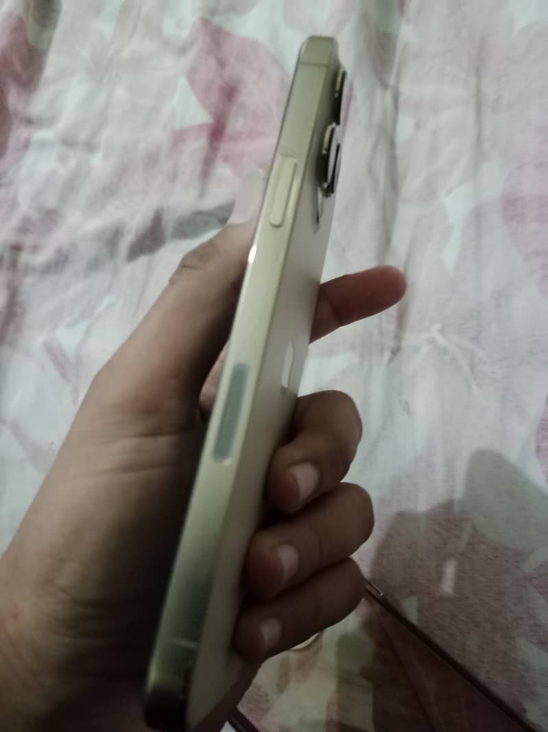 Apple iPhone 13 Pro Max 2