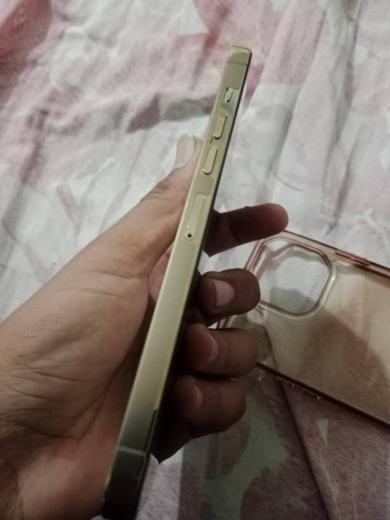 Apple iPhone 13 Pro Max 4